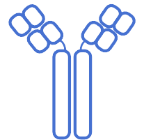 Versatile Bioconjugate Engineering